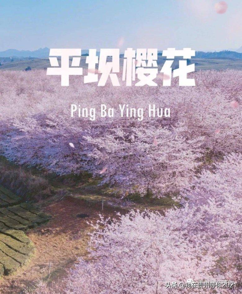 了不起的麦瑟尔夫人