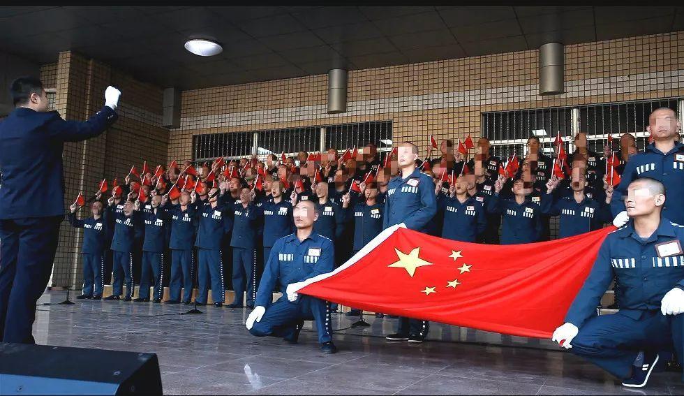 动物帮帮忙保卫家园